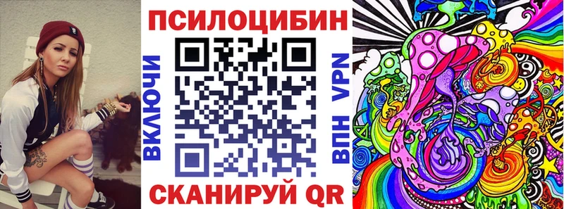 как найти наркотики  Пыталово  Псилоцибиновые грибы Cubensis 