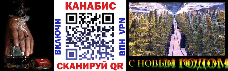 Шишки марихуана THC 21%  Пыталово 